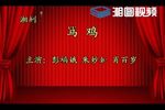 骂鸡下载