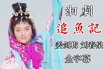 追鱼记