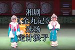 金丸计下载