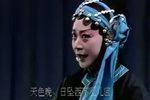 打雁回窑下载