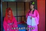 双换亲 3下载