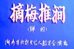 摘梅推涧下载