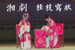 桂枝写状