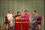 三约牡丹亭闹园
