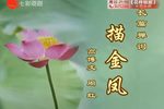 描金凤下载