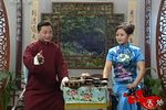 孟丽君下载