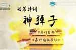 神弹子下载