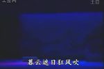 青丝泪 全集