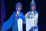 玉蜻蜓探病 选段