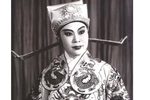 梅兰珍传下载