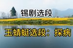玉蜻蜓探病 选段