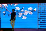 拔兰花 选段