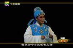 白罗衫 全集下载