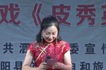 皮秀英四告 全集下载