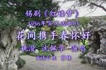红楼梦 花间携手春怀好 选段