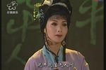 窦娥冤下载
