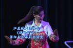 胖婶当官 全集下载