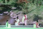 梨花情 全集下载
