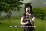 红花曲 一