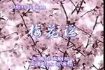 梅花谣 全集