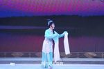 梨花情 全集