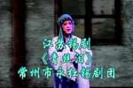青丝泪 全集下载
