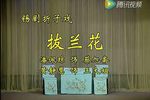 拔兰花下载