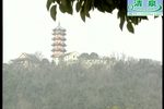 双玉蝉 全集下载