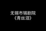 青丝泪 全集