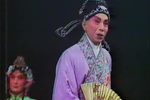 玉蜻蜓 全集下载