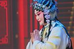玉蜻蜓探病得子 选段