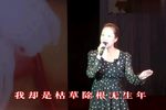 嫁媳 选段