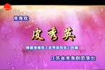 皮秀英 全集