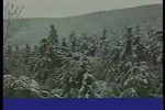 珍珠塔 选段下载