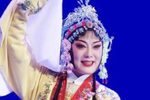 后园会 选段下载