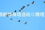 珍珠塔 选段