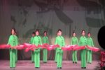 南京锡剧戏友会十五周年庆演出 上下载