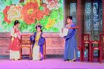 珍珠塔第九场下载