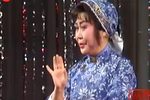 苏皖沪锡剧交流演唱会1下载