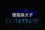 狸猫换太子