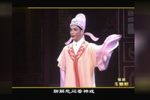 玉蜻蜓 全集下载