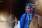 秦香莲 全集下载