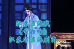 节妇吟 全集