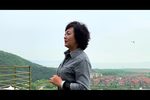 浣纱谣雁南飞 选段