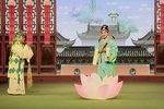 玉蜻蜓第二场下载