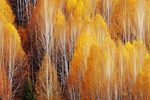 换橹绷 2下载