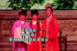 珍珠塔 全集下载