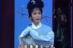 双玉蝉 悲蝉