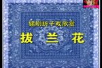 拔兰花下载