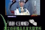玉蜻蜓 选段